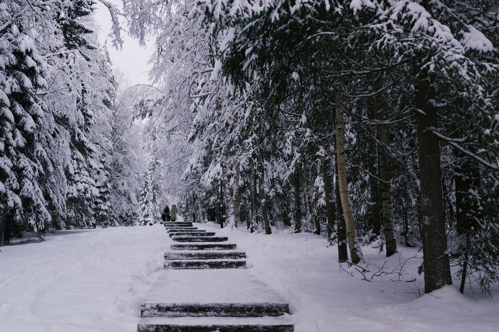 Photograph by Владислав Кузьмин