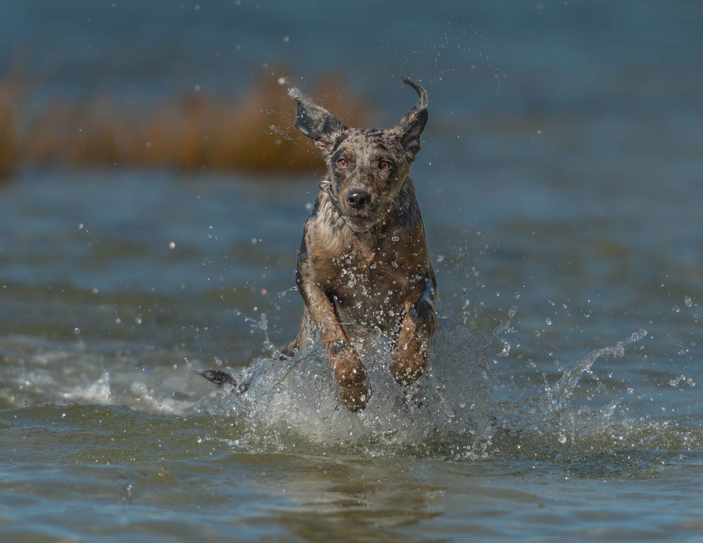 Photograph by Radenko Malić