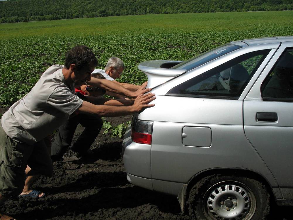 Photograph by Елена Коробченко