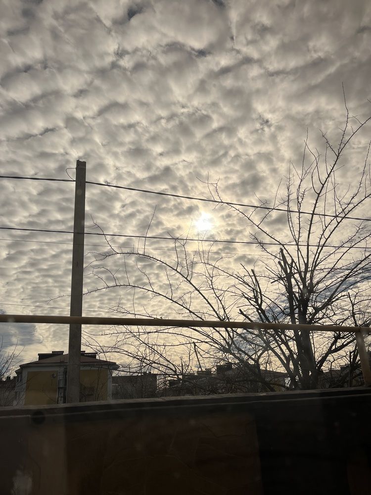 Photograph by Erika Osipova