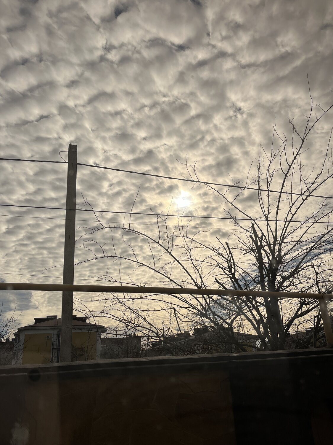 Photo #11739482