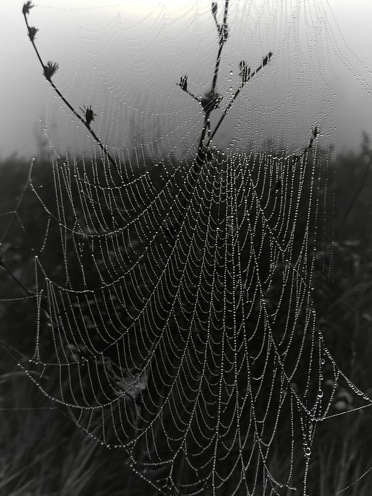 Photograph by Ольга Мартьянова