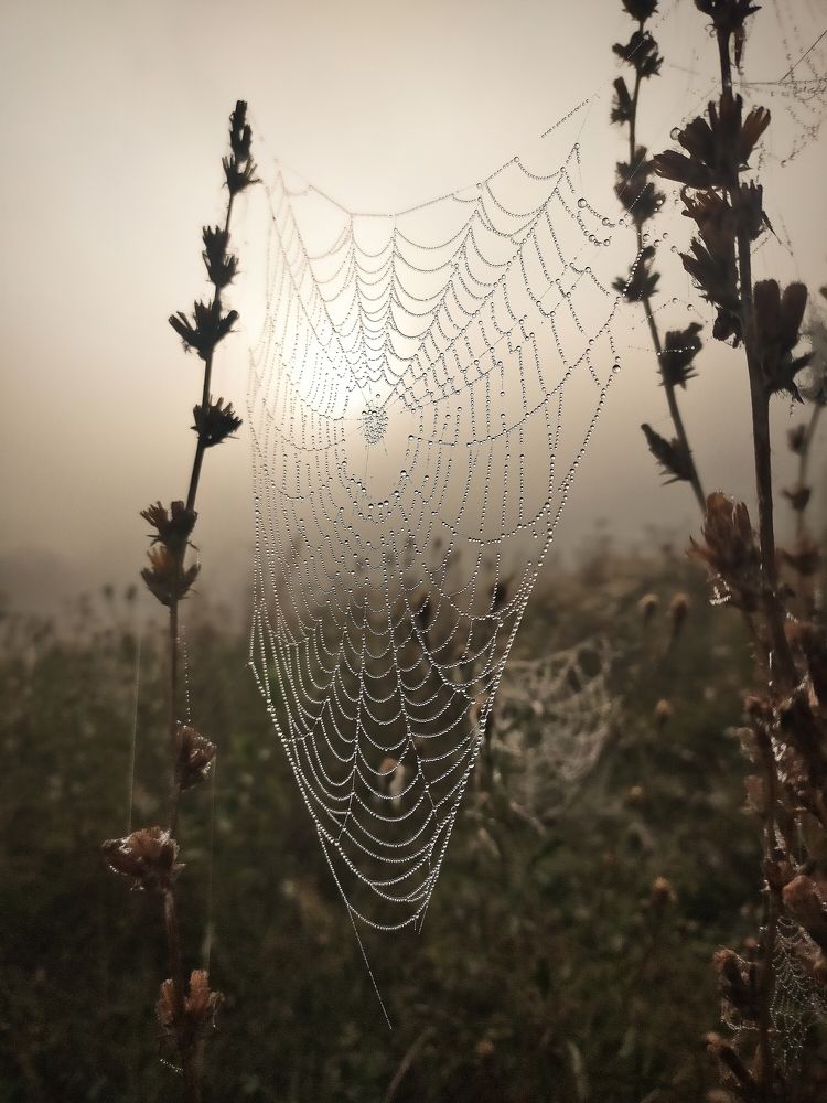 Photograph by Ольга Мартьянова