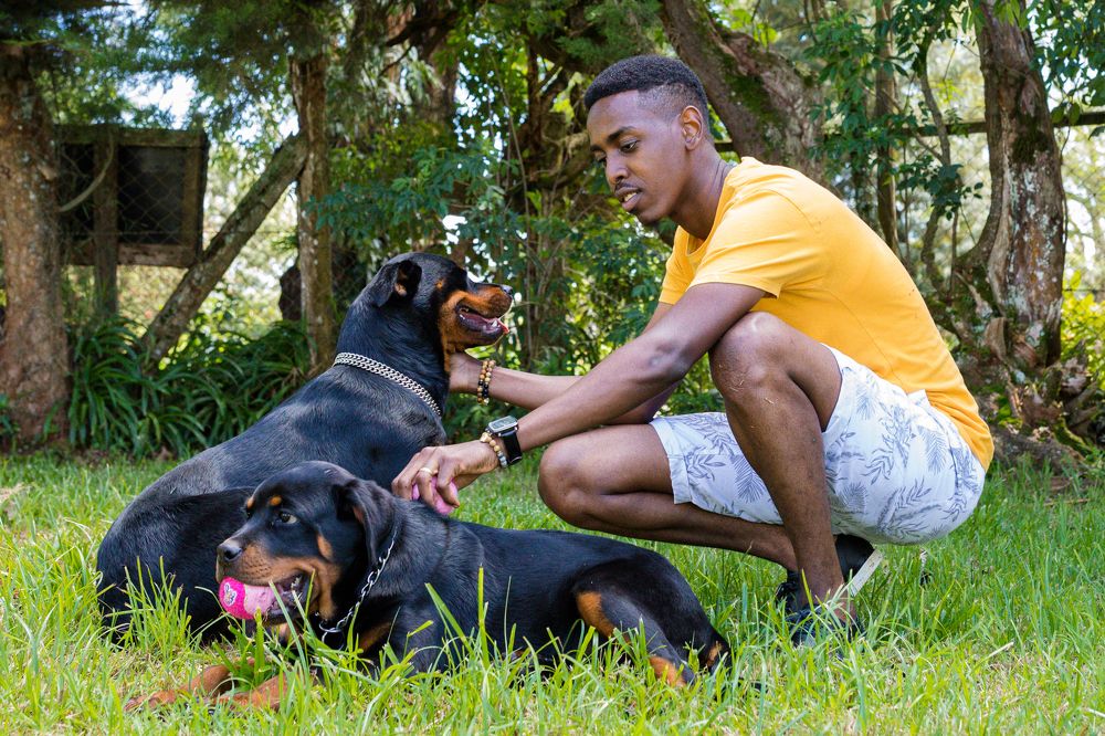 Photograph by Trivet Antony