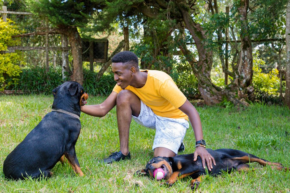 Photograph by Trivet Antony