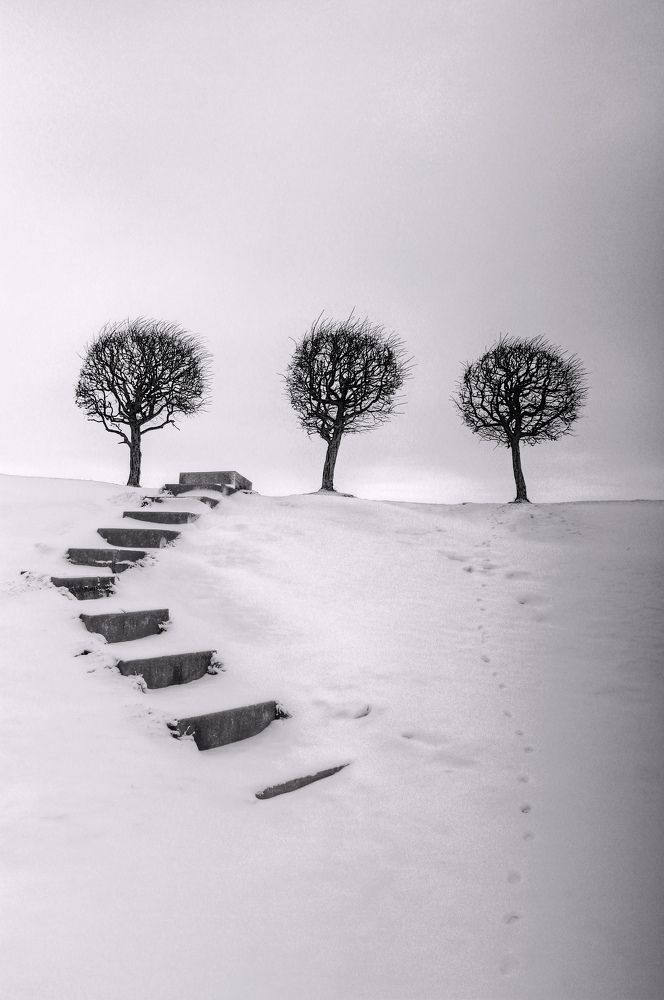 Photograph by Сергей Григорьев