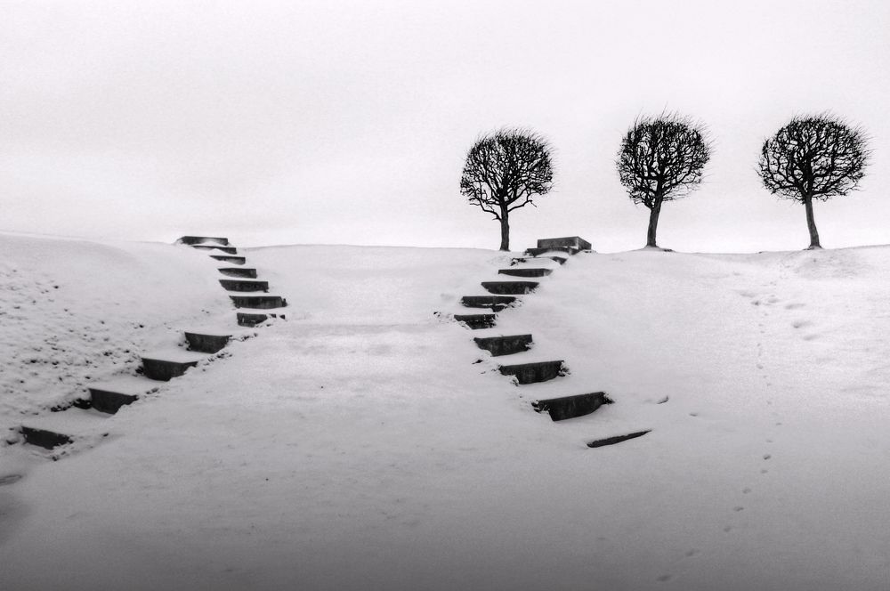 Photograph by Сергей Григорьев