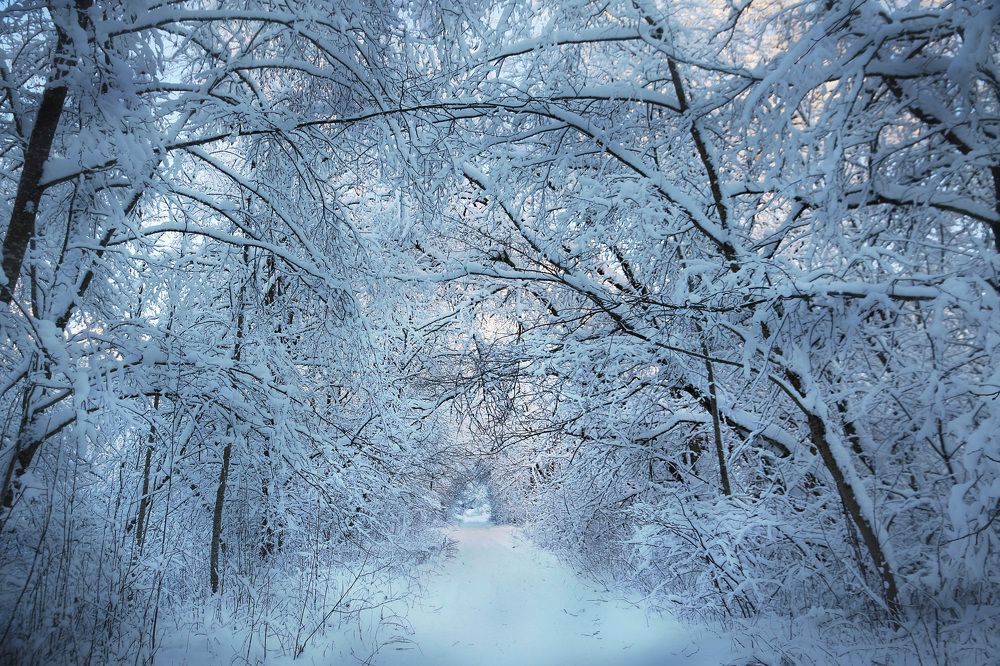 Photograph by Елена Федорова