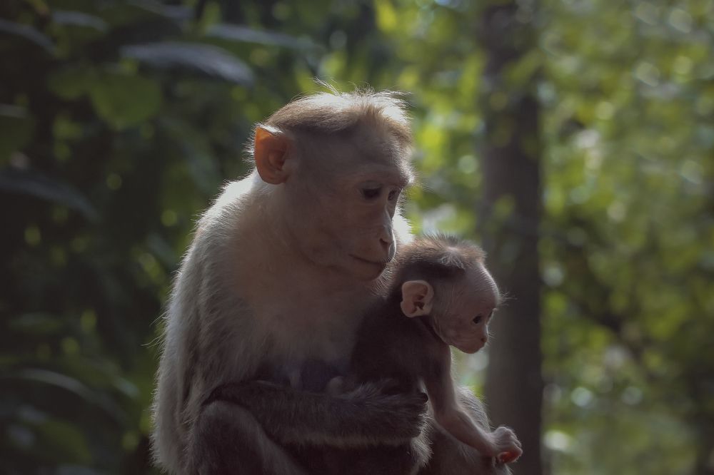 Фотография автора Anil Prabhakar