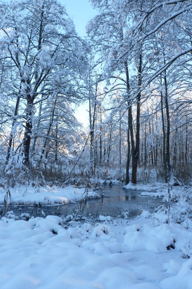 Photograph by Марина Пехтерева