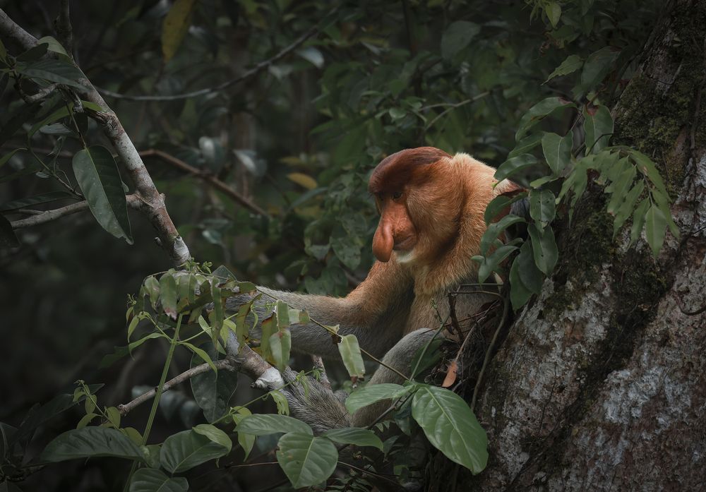 Photograph by Anil Prabhakar