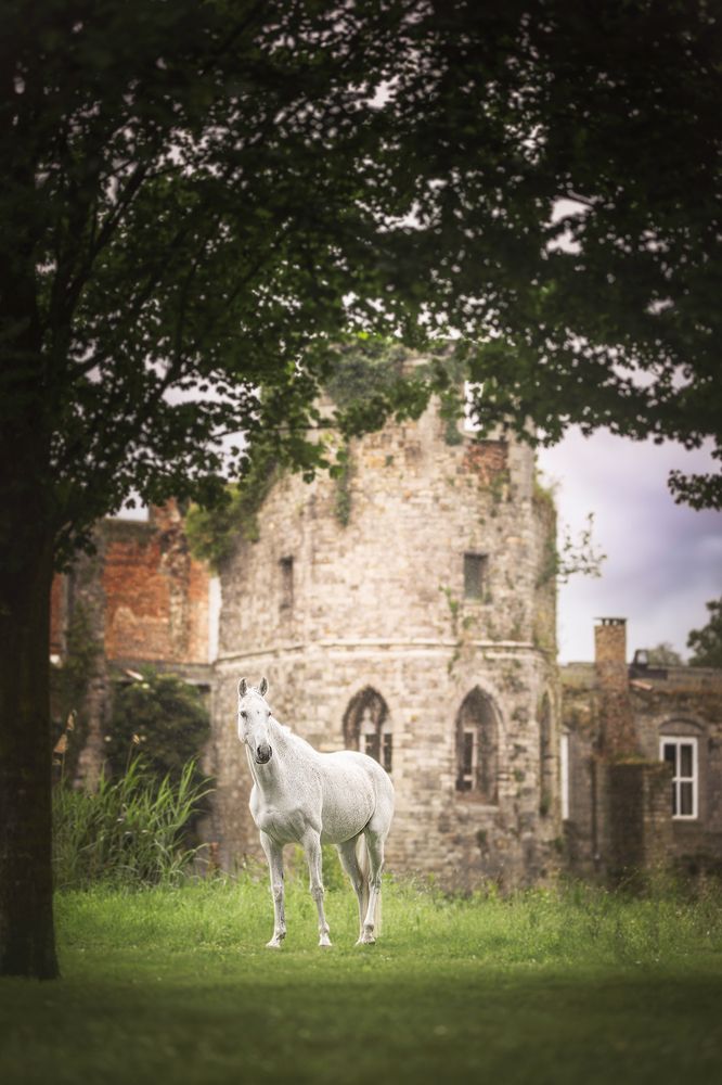 Photograph by Laura Petermans