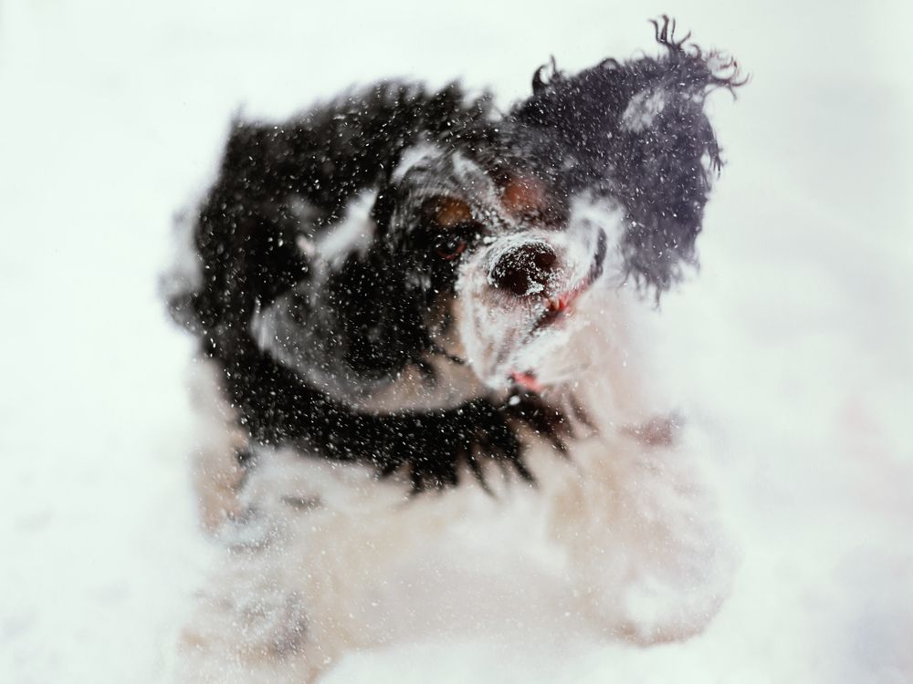 Photograph by Анастасия Бабенко