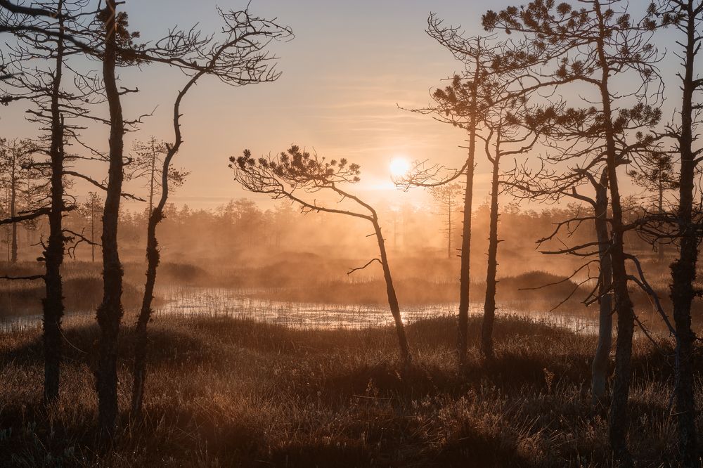 Photograph by Чехонин Александр