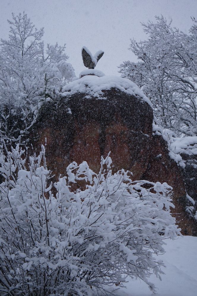 Снежное покрывало.