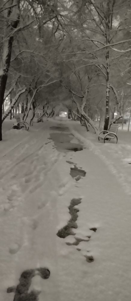 Photograph by Владислав Степанов