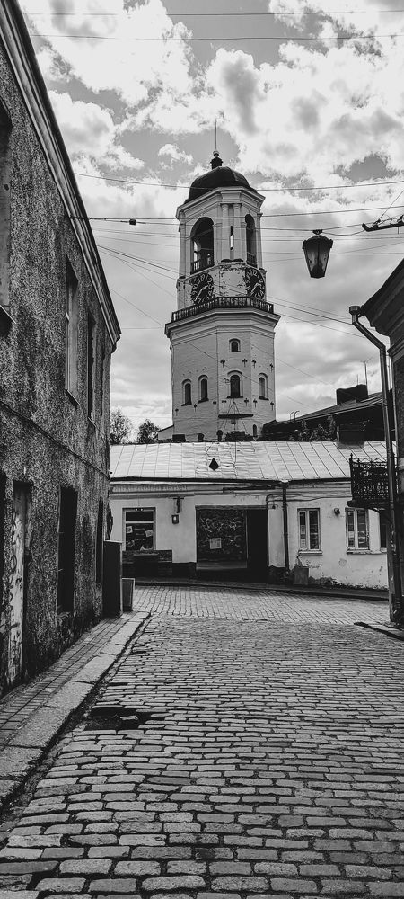 Photograph by Светлана Гордиенко