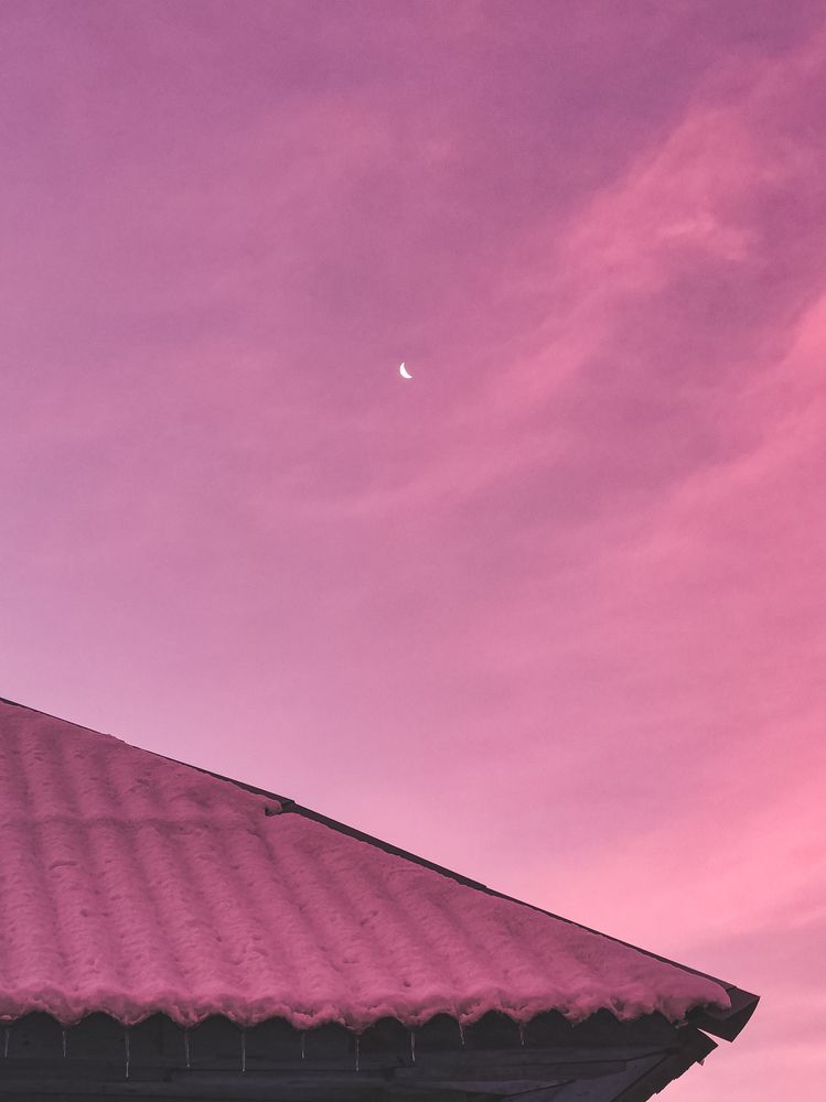 Фотография автора Любовь