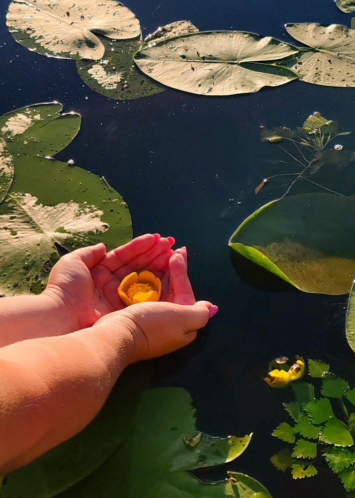 Фотография автора Любовь