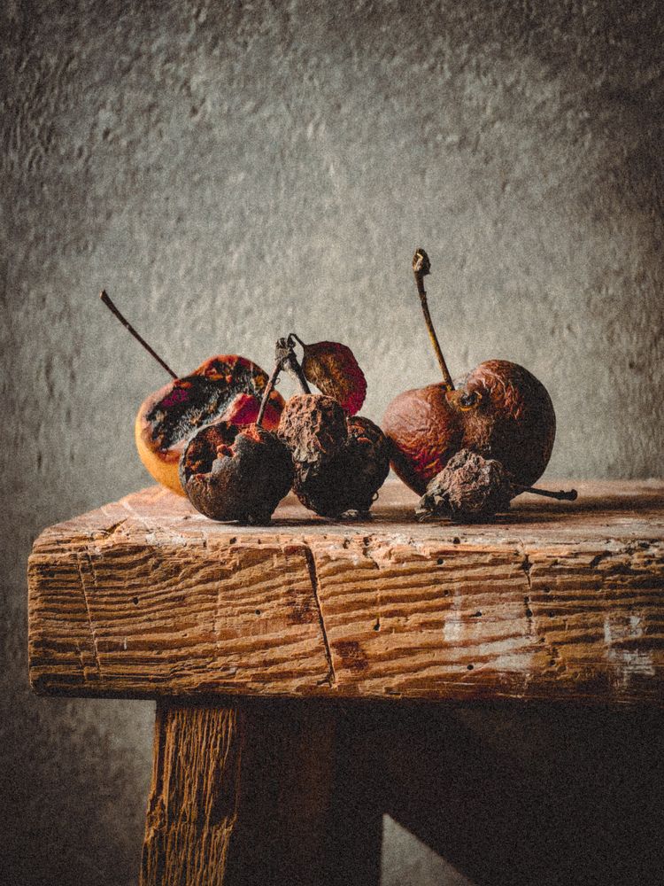 Photograph by Татьяна