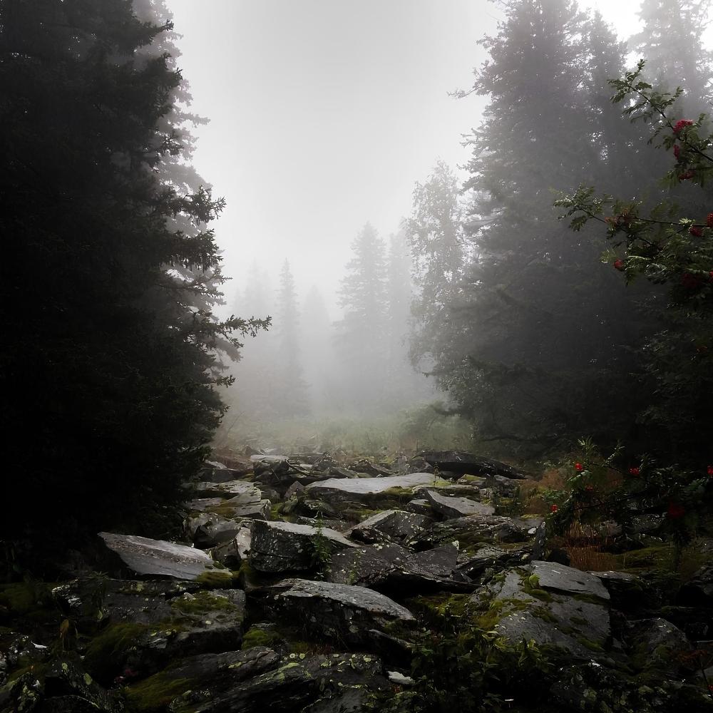 Photograph by Дарья Толстых