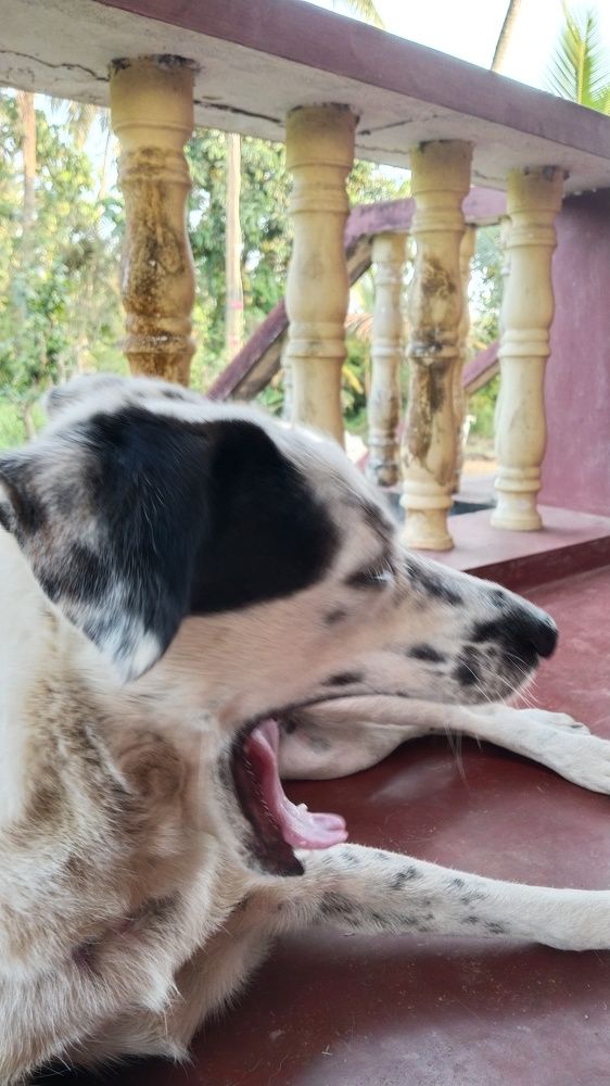 Photograph by Varsha Gatti