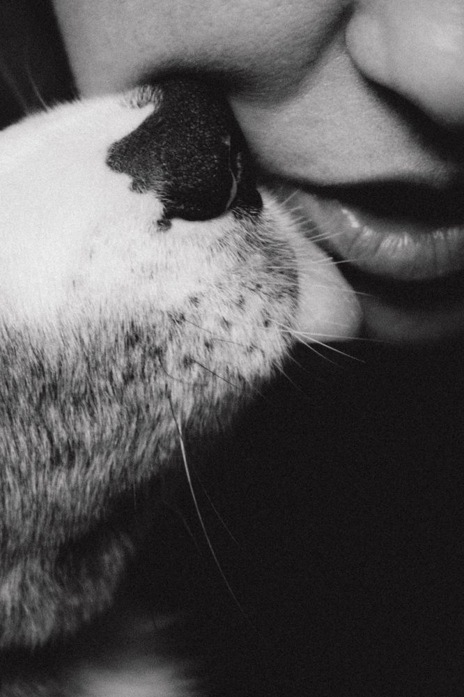 Photograph by Татьяна Тюрина