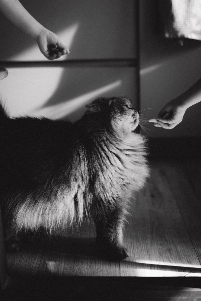 Photograph by Татьяна Тюрина