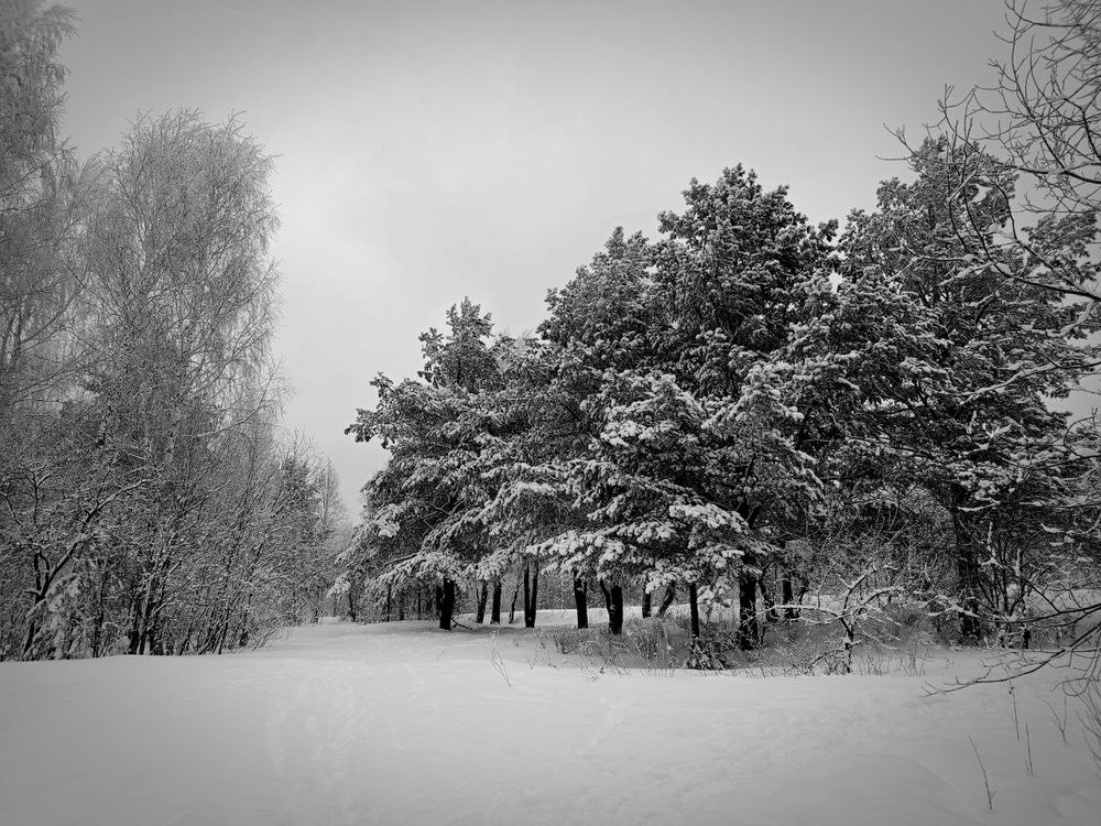 Photograph by Дарья Толстых