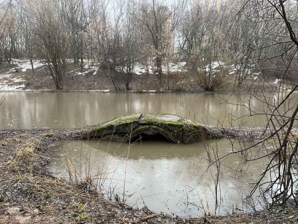 Photograph by Евгения Лазарева
