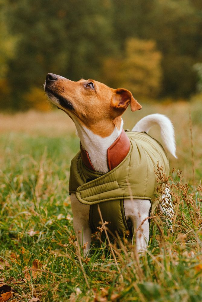 Photograph by Валерия Гарбуз