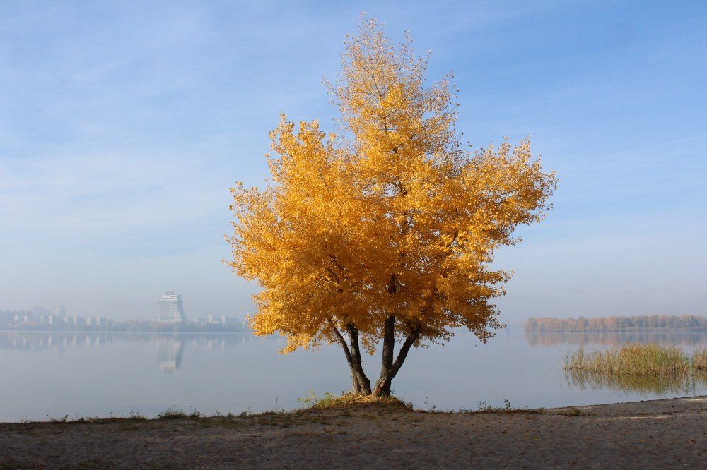 Сказочное чудо. Днепр.