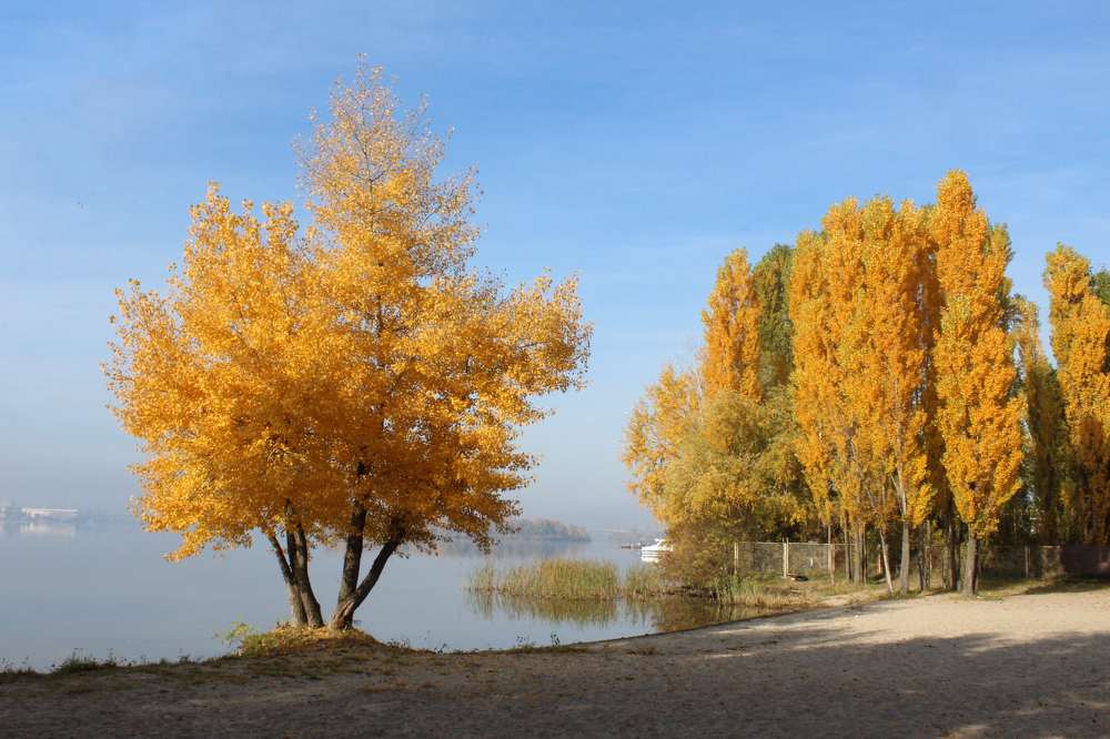 Осенний Днепр