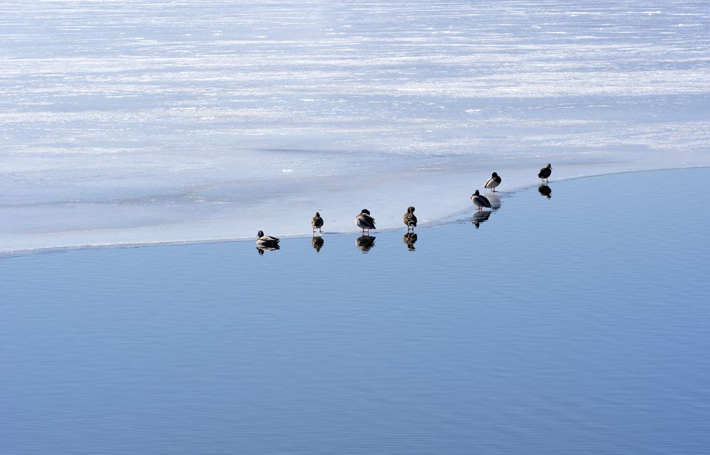 Photograph by Андрей Семенков