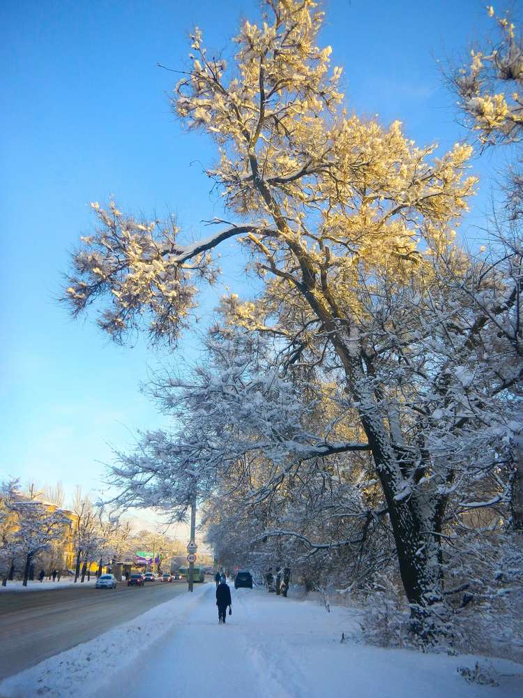 Зимний вечер