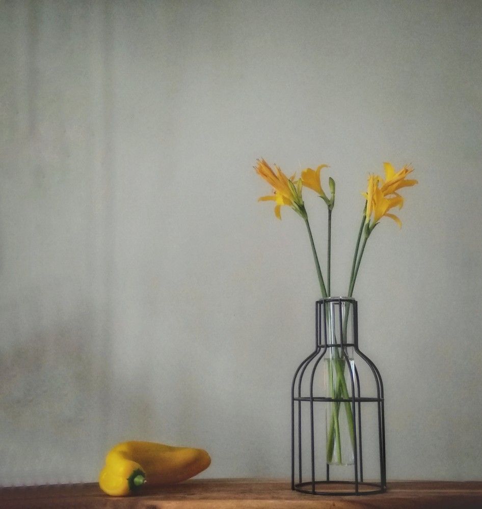 Photograph by Наталья Трофимова