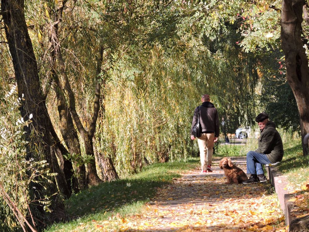 Человек собаке друг / A dog and his friend