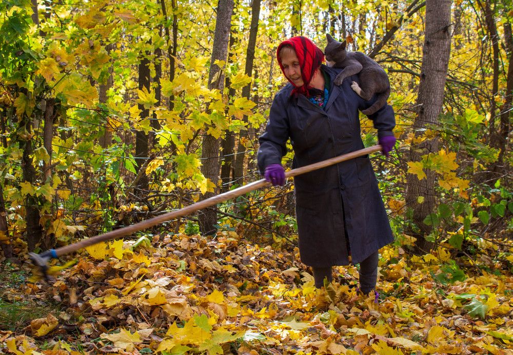 Photograph by Оксана Леонтьева