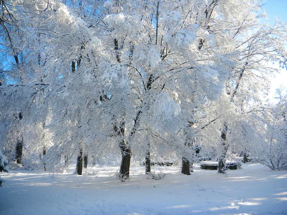 Зимний день.