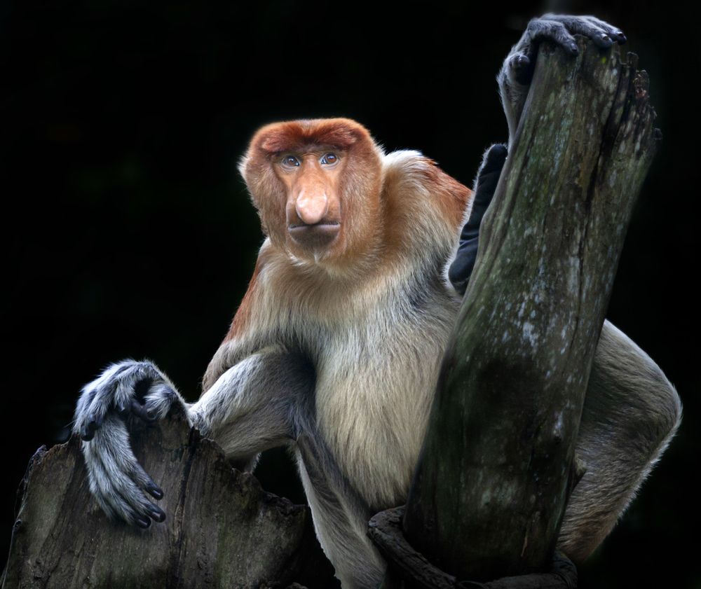 Photograph by Анатолий Макоедов