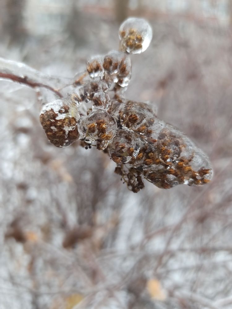 Photograph by Екатерина Шилина