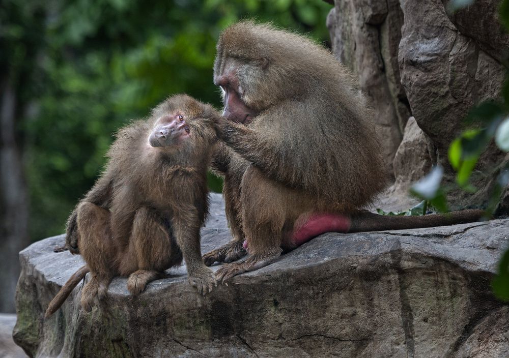 Photograph by Анатолий Макоедов