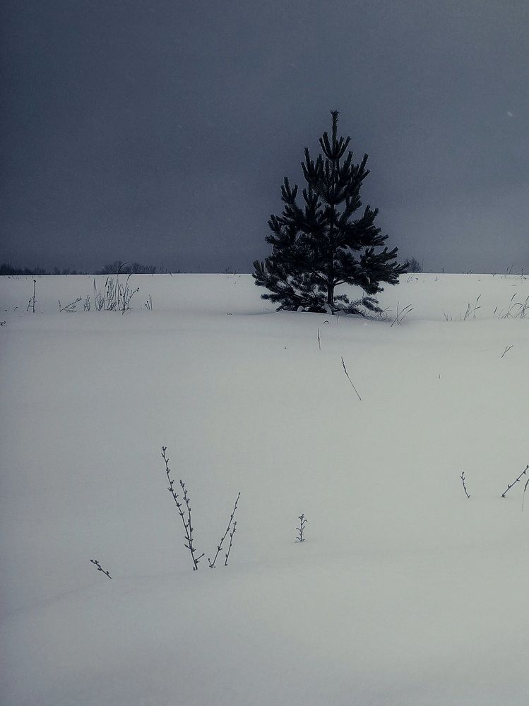 Photograph by Марина Егорова