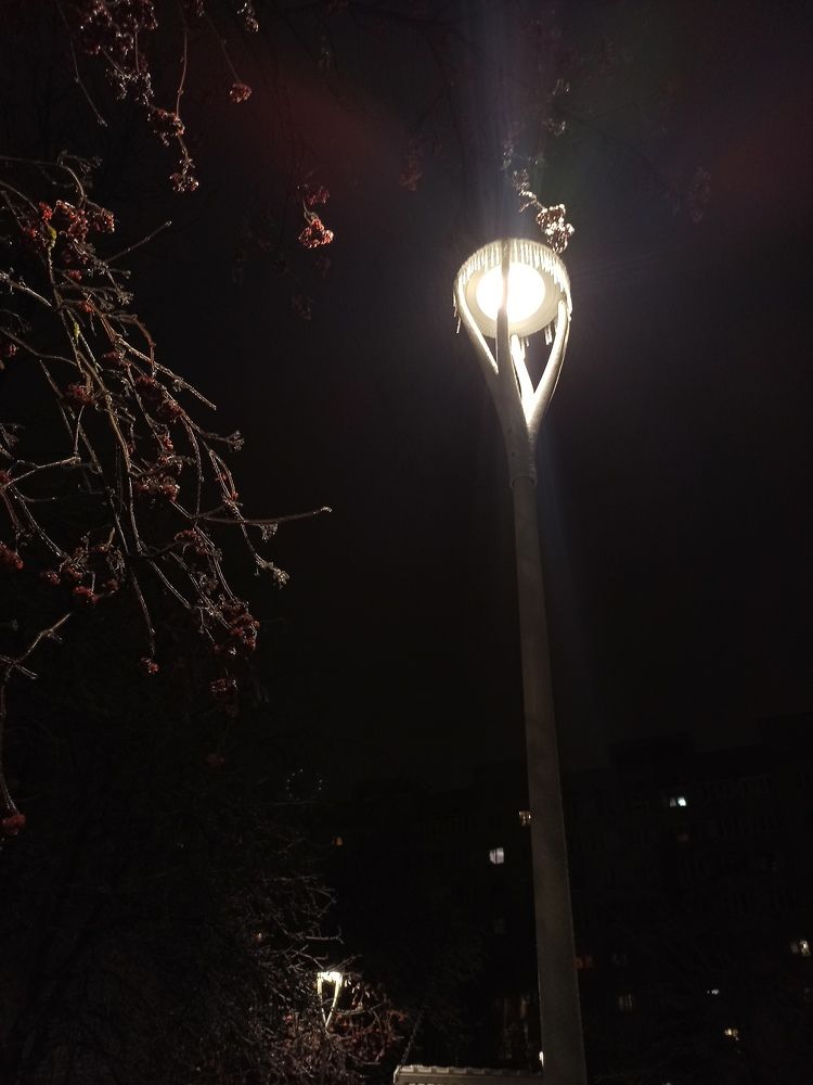 Photograph by Екатерина Шилина