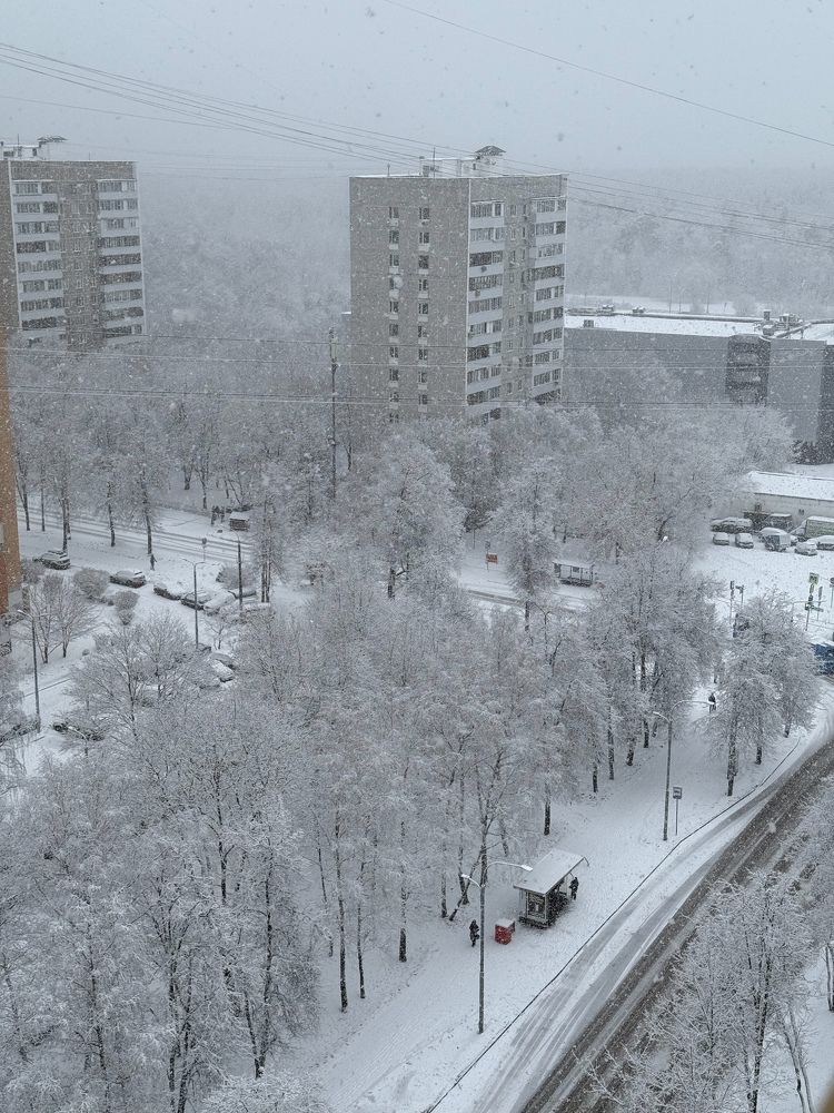 Photograph by Михаил Сорокин