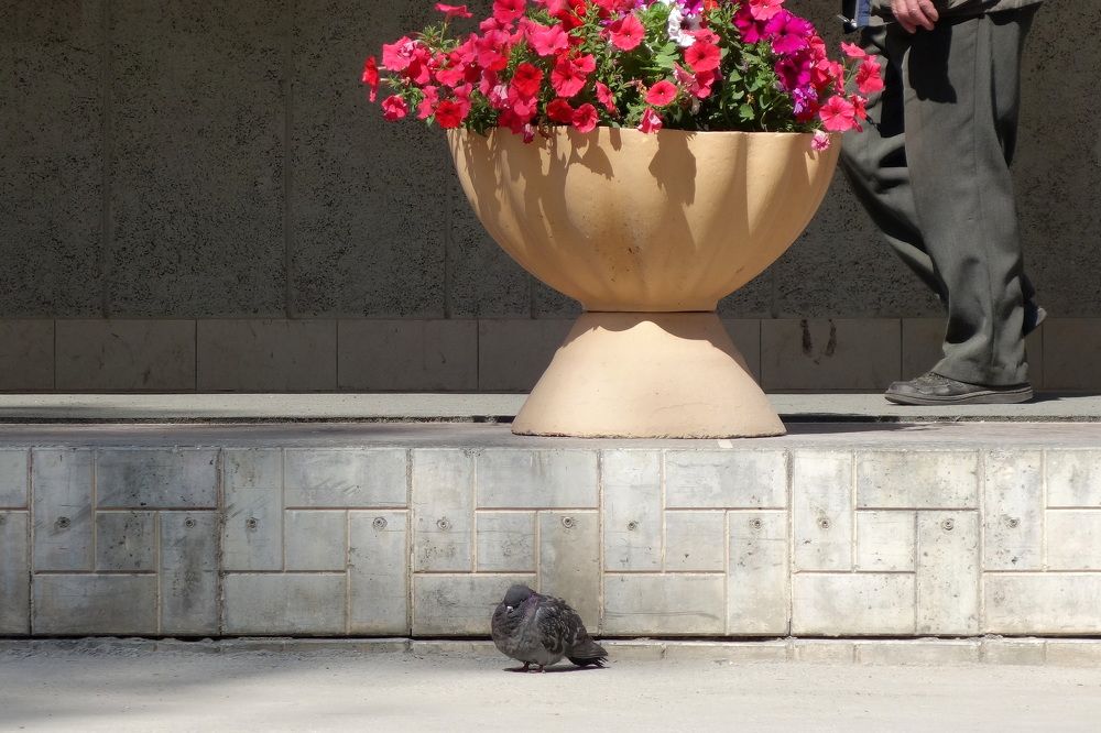 Photograph by Сергей Гребенников