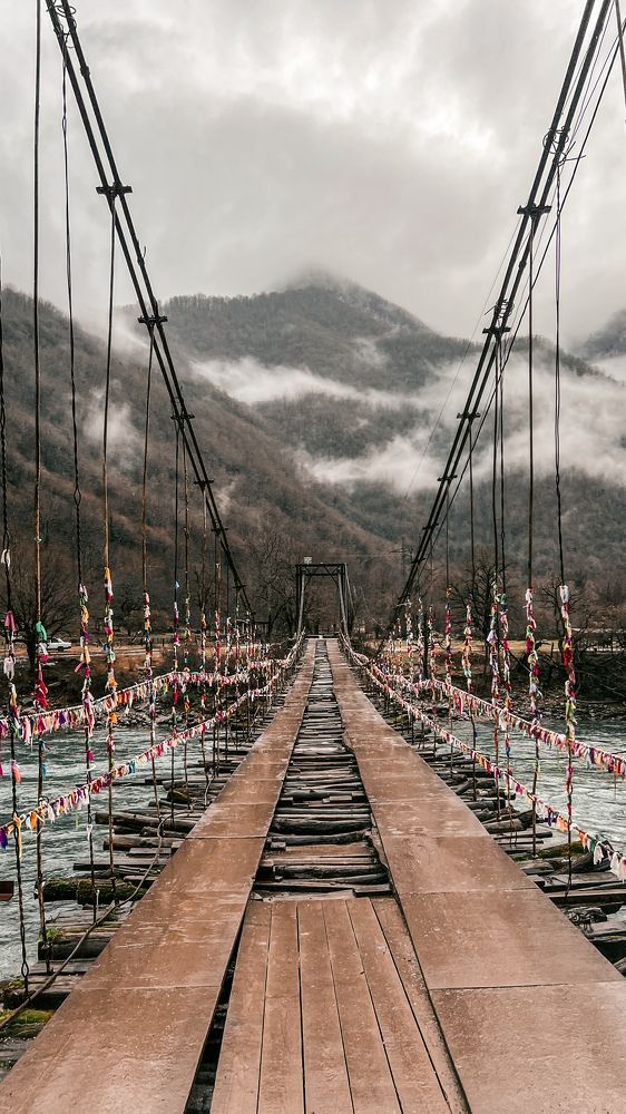 Фотография автора Юлия Недосекина