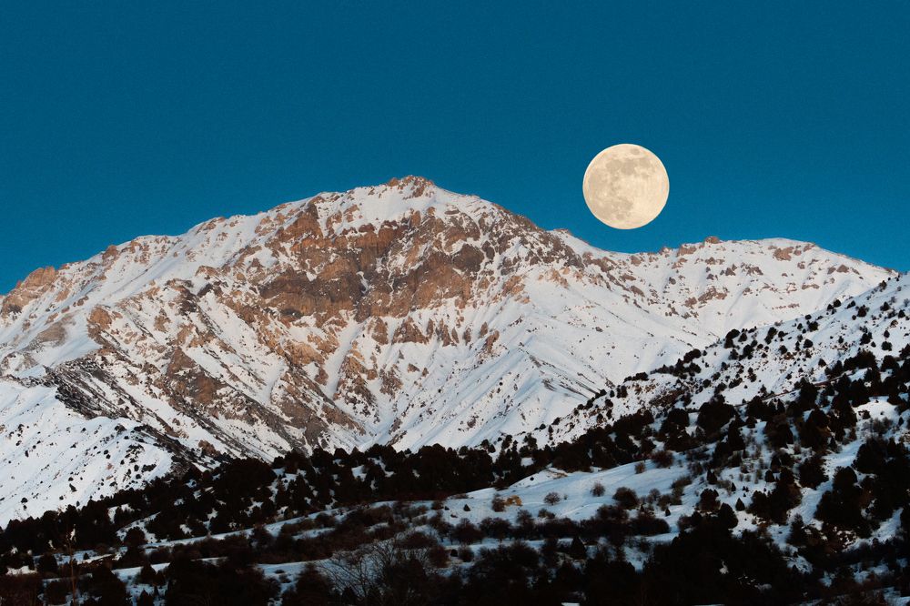 Photograph by Юрий Шумейко