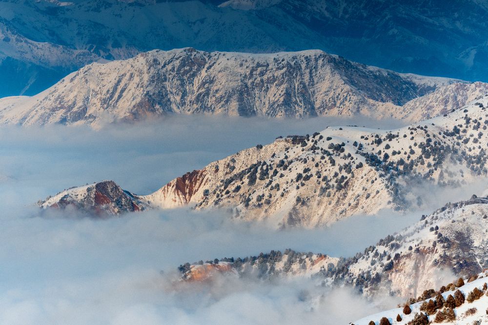 Photograph by Юрий Шумейко