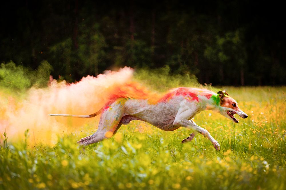 Photograph by Виолетта Бастет